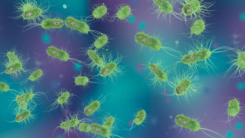Що таке Helicobacter pylori? Симптоми та лікування